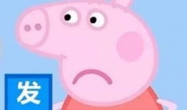 佩奇爆料美女视频,引发网友热议